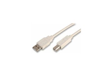 Basic USB A to B Cable