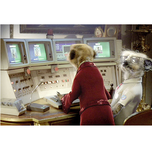 meerkat IT wizz with customer skills needed!